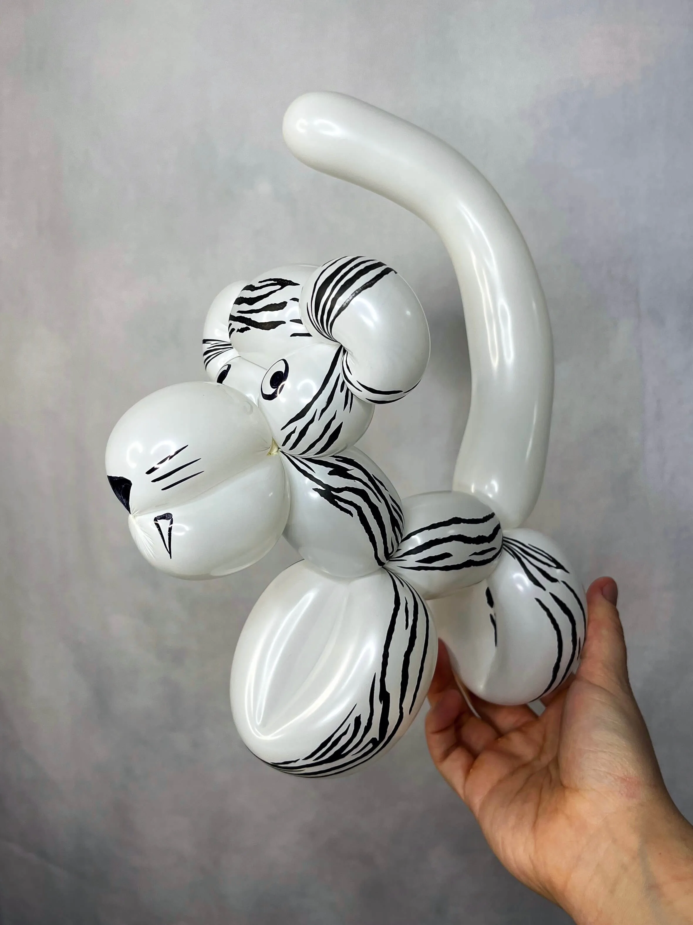 Balloon sculpture of a white tiger